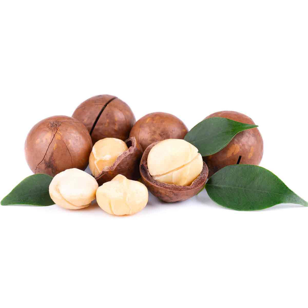 Vanilla Macadamia Nuts in Shell - 400gm with Key